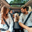 Family road trip
