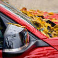red car with leaves on hood in fall